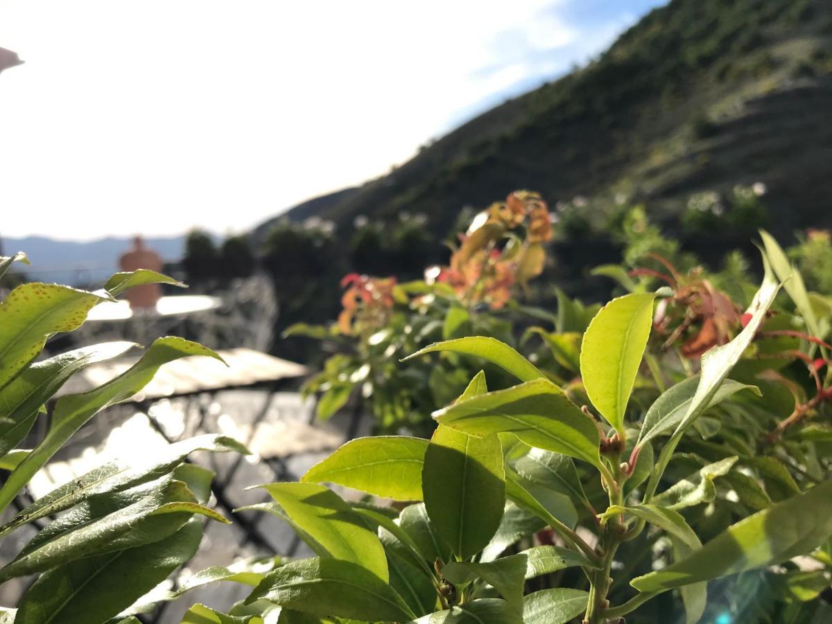 Borgo Manca Suite Sasso di Castalda Esterno foto