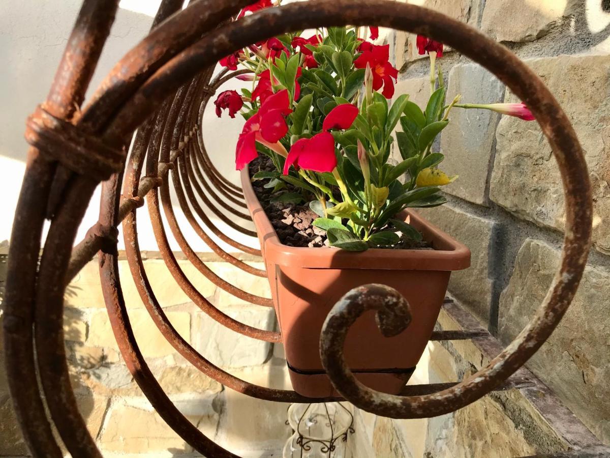 Borgo Manca Suite Sasso di Castalda Esterno foto